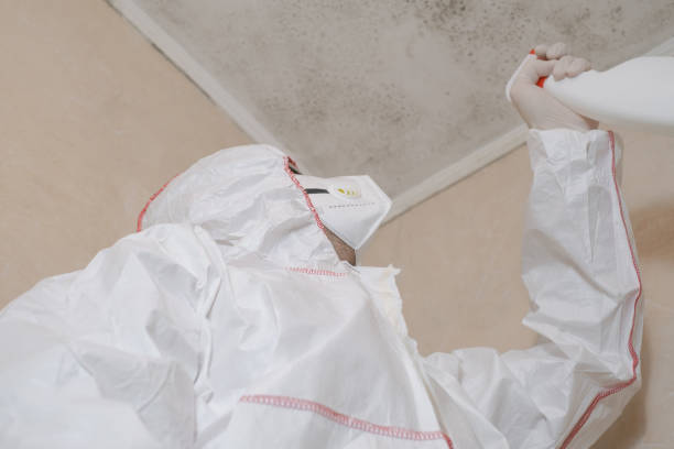 Best Biohazard Mold Removal  in Wrangell, AK